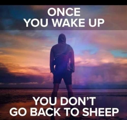 e0f0a668-d43b-4683-9cf3-ef6898c66d93