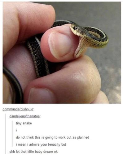 8a3a2c2f-4d99-4b35-9bcf-2778195545e4