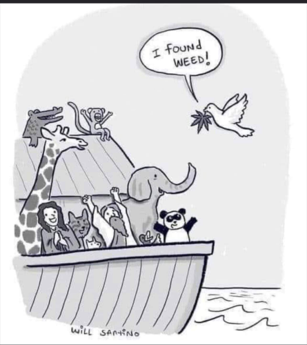 Screenshot_2022-04-06-14-44-23_kindlephoto-14337859