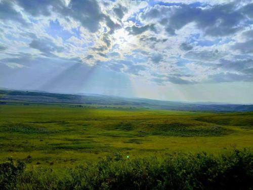 962dd4e7-32e5-421d-96a5-8f529f692606