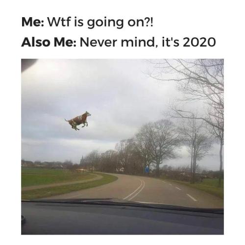 0d9df15c-9aa3-4d1f-ba86-44f2678303b2