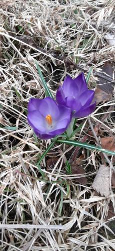 97ff5369-c4f0-477b-904f-1fc76f96d06a