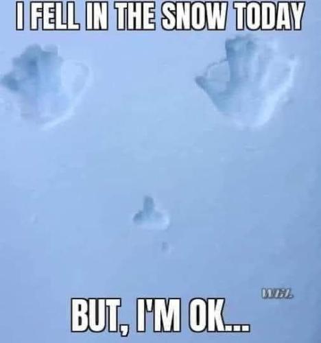 20:20:16 GMT-0400 (EDT).image