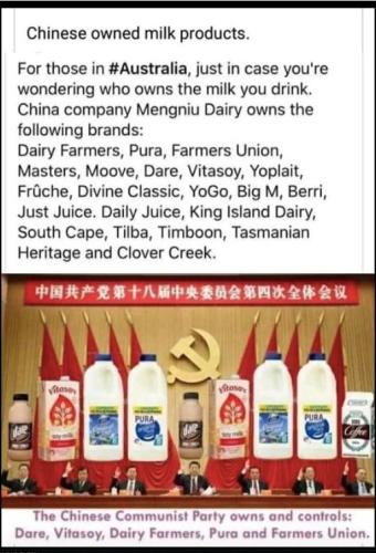 Chinese Owned 1