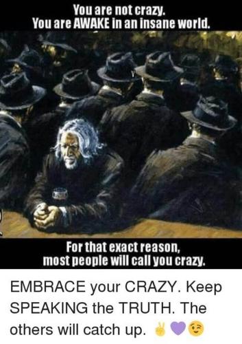 51741862_10216107794440785_1767644716096028672_n