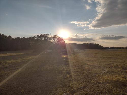 1f5db6bc-1247-4c9f-90c0-c766292fcf96