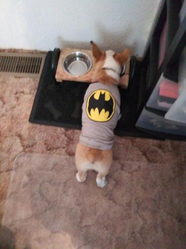 e28a077c-7258-4a03-add9-fa07efd32a84