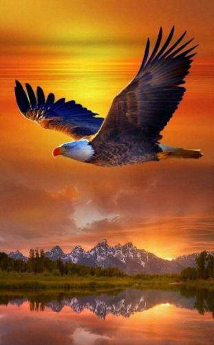 20:31:20 GMT-0500 (CDT)