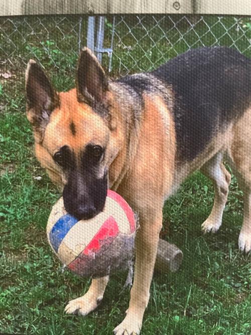 391FBBF4-43B6-45D7-963B-0D25889FB64A