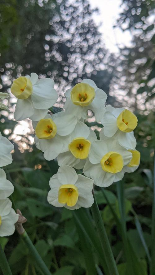 b7253e40-8ea4-4ebf-8b3e-99fe0a1e07c8