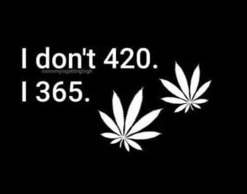 d8cb081e-efe9-45c1-bd73-fafa66aaa123