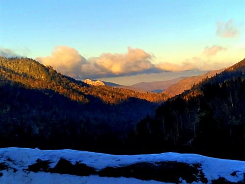 7ce99b3a-ad6b-4e05-84de-3344d4800265