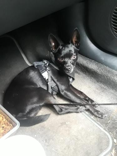 12:21:40 GMT-0400 (EDT)