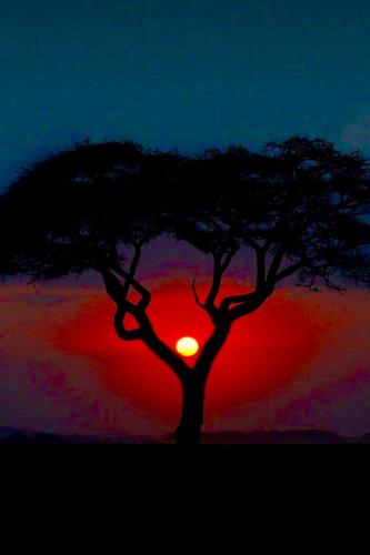 CBB0382D-68E8-4087-AD93-4C0E3285301F