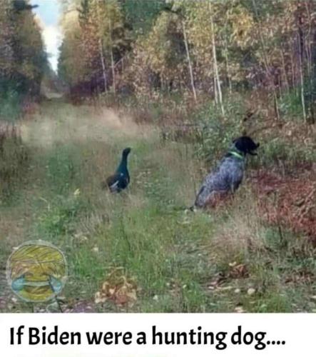 8b4f5d6a-670a-4ce0-8f1a-eeb6448cae19