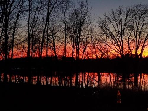 1e38069d-f72d-4e9d-b9ca-97a1aa4b2b0a