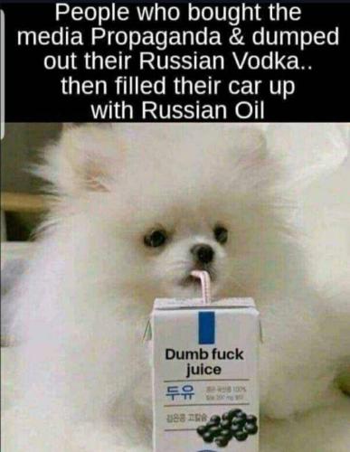 5e0deb13-44e5-403b-b3b8-373d3623d18f