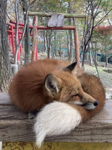 278912599_158541393250849_5006095233346680910_n