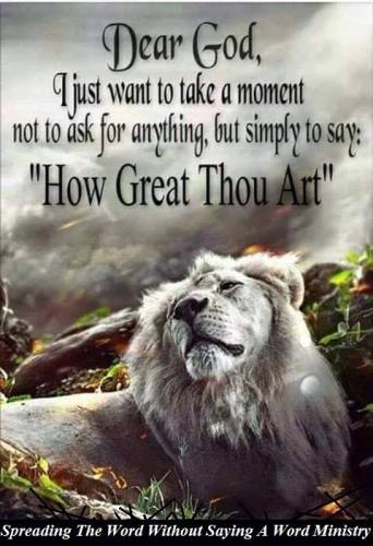 13260229_1064844853597645_7486818078988884696_n