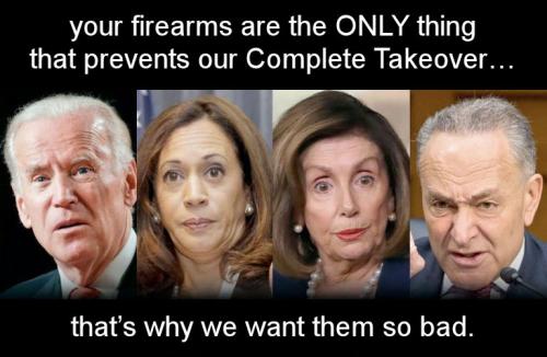 gun control199