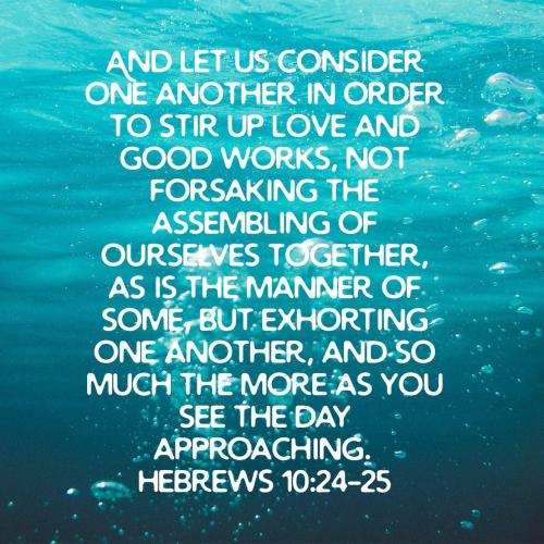 03ef92f8-cd04-467c-8e57-1e0cad35f75c