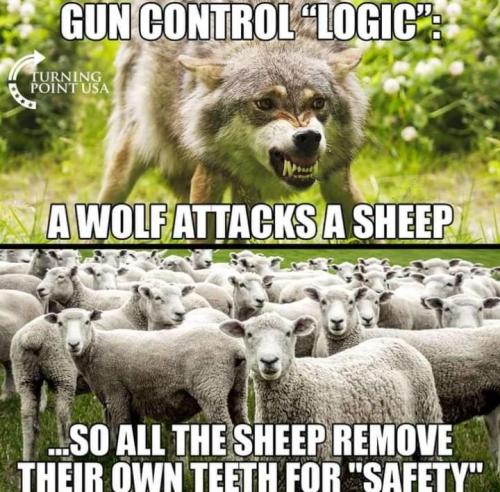 d5f08a31-12f5-46e7-b565-0d002de8c17a