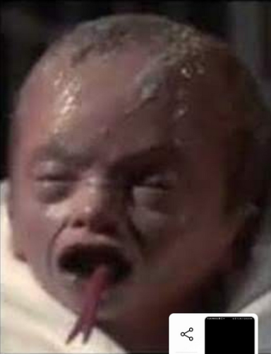 Screen Shot 2021-07-27 at 12.56.02 PM