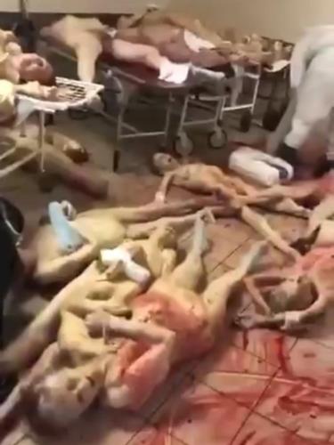 a3ae65e6-1e38-446e-ae5c-e98bbacdfd94