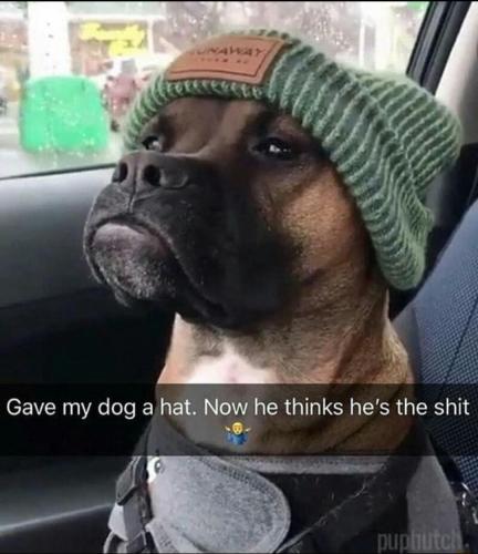 46c7495f-caf5-432f-8705-facdc5b2d2ec