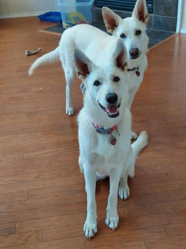 6eb030a1-b33d-4d91-a97b-0564a6960370