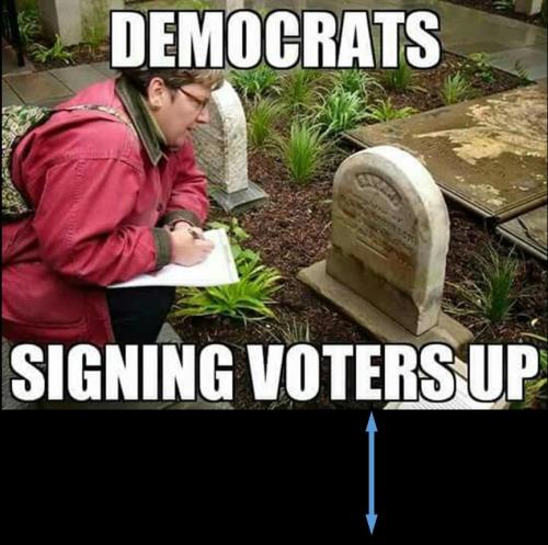 c8bb30e8-d44a-4b20-921d-9d04643b5e77