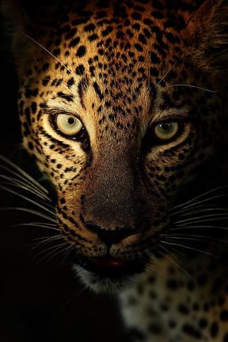 tumblr_830e4a0a5ca1979b877ee7c3aa308d13_bc827e50_540