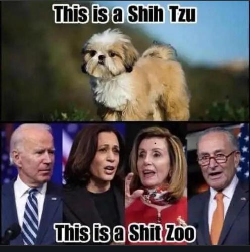 ef9df596-db5e-47c4-a1a7-8a4538e030df