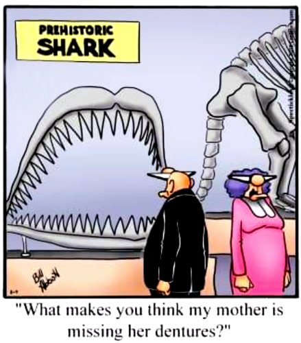 sketch-1650479343639