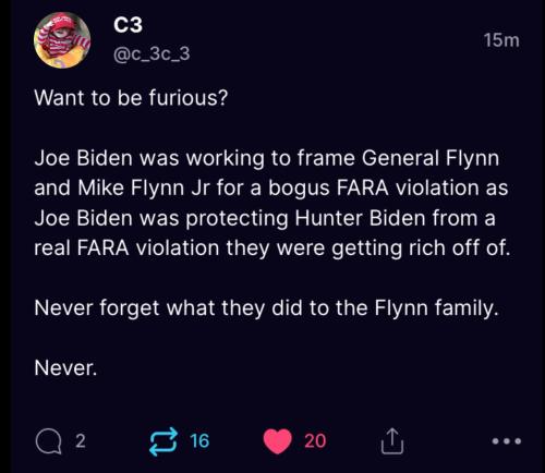 biden:flyn c