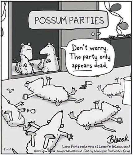 278832865_993146471337657_2415024140440256161_n