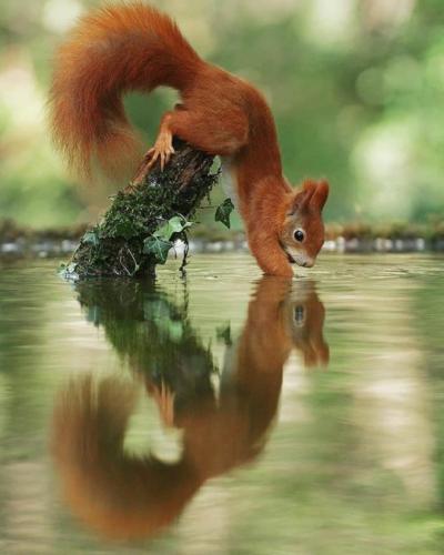 tumblr_5ac9b22df0b28e4ac0b9382cf1a2daee_bfa2893b_540