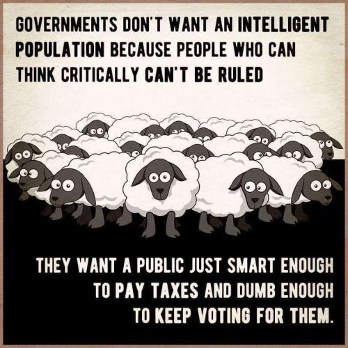 e75fefa8-4794-4415-8f20-c7a27f1716c9