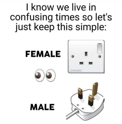 c0b0bdaa-1e39-4343-b2cd-0e11fd758d65