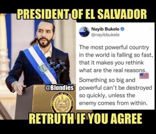 d5127309-1be2-4959-a50b-e29d350731a7