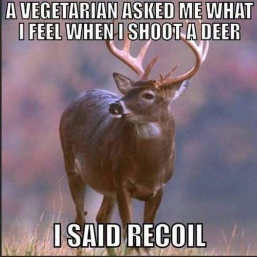 92a4a93c1a25beed25ab493f4661680a_1024