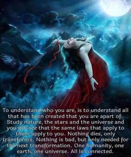 61bebe65-22d2-4c0d-852e-974a7e2c5fa5