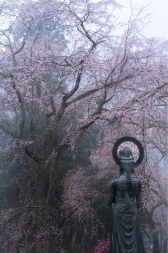 277738272_4747334622043124_1091264454421316671_n