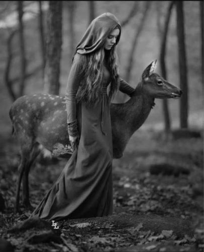 tumblr_c4db58beaff3455ef41b4c559d516ae8_86f7fbf5_540