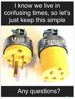 42ee8201-ac39-4b11-8a79-4ecc4ecfad35