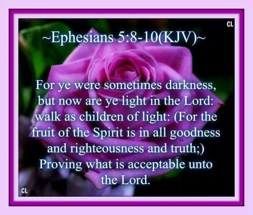 ba490353-c398-41c5-8aea-7d31bc21efd8