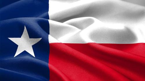 TX Flag