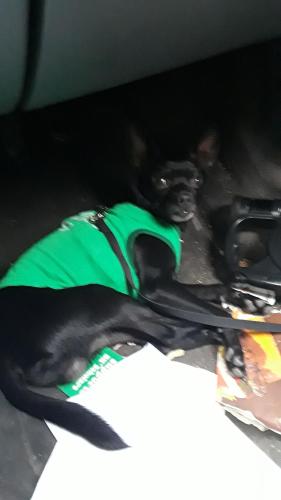 12:21:40 GMT-0400 (EDT)