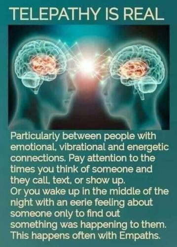 ,                                                                                                                                                                                                                          0 0