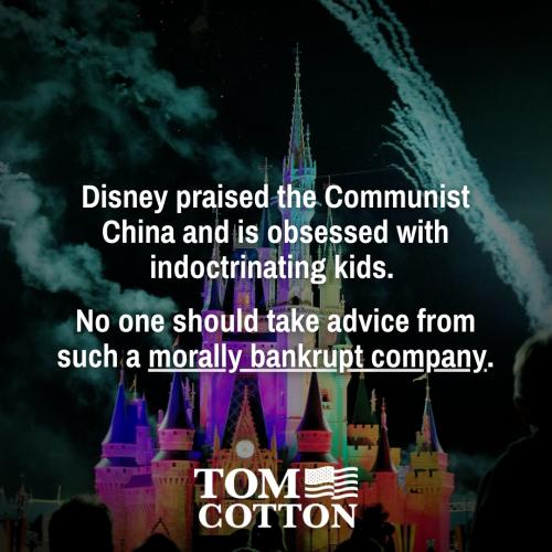 277781268_524626265700369_2391798500387309978_n